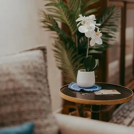 Appartement In Via Signorelli Orvieto